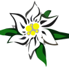 Edelweiss1942