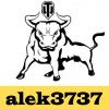 alek3737