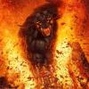 John37