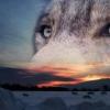 159_rus_maks