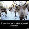 KJlayc_25ru