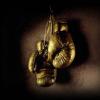 fingerboxer