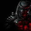 ALPHA_Predator