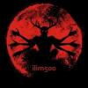 ilim500