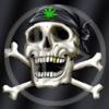shakal_2