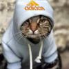 Babai_161Rus