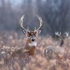 RenamedUser_28289145