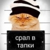 KpuBble_PyKu__