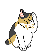 Dima_Dr