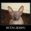 RenamedUser_20841376