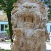 RenamedUser_21652676
