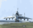 Gabych1