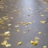 AsphaltForYourFace
