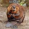 _N9lshKa_6o6puk_