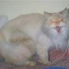RenamedUser_81169178