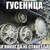 _gusenica_