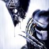 AVP_15