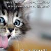 RenamedUser_31474683