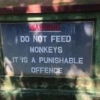 Do_Not_Feed_Monkeys