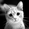 RenamedUser_29309286