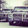 FOXER_1337