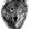 RenamedUser_24206988