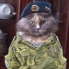 Baza_ru_net