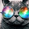 NE_SASHA_GREY