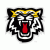 tigr303