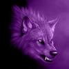 v_a_n_o_0275