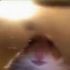 RenamedUser_157890