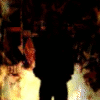 stone_wolf