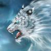 rock012