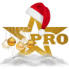 bijo_bijo