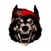 RenamedUser_67147593