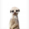 RenamedUser_4380494