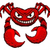 CO4IHCKIY_KRAB