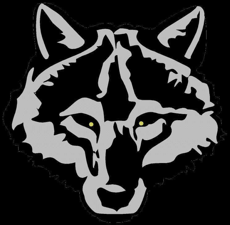 BlackWolf123