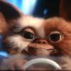 ___Gizmo___