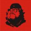 pluckman_35_RUS
