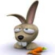 Evgeniy1705