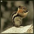 RenamedUser_18012502