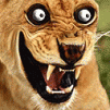 serega8