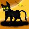 RenamedUser_24292772