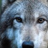 RenamedUser_26733211