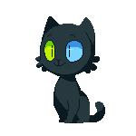 Furry_Black_Fox