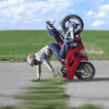 RenamedUser_2970845