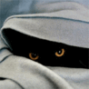 Secretcat