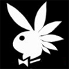 mr_kroolik