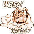 _BULDOG